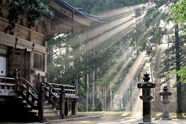 image from Hidden Gems in Kagoshima Japan