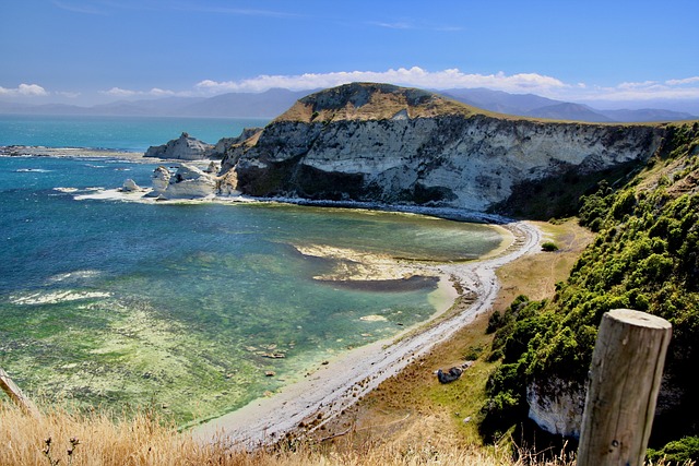 image from Activities Kaikoura