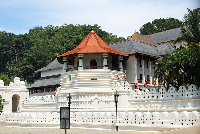 image from Activities Kandy