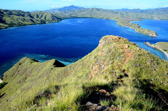 image from Komodo Island, Indonesia