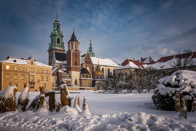 image from Krakow - Wawel Cathedral