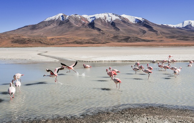 image from La Paz, Bolivia 5 Day Itinerary