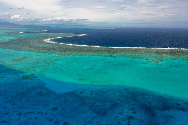 image from Lagoons of New Caledonia Reef Diversity and Associated Ecosystems