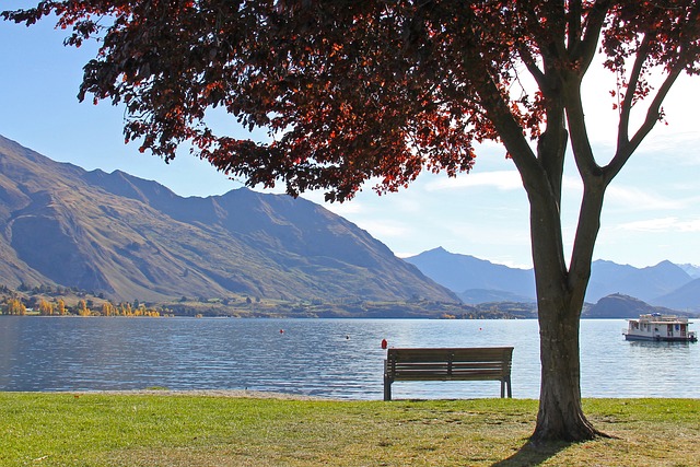 image from Lake Wanaka