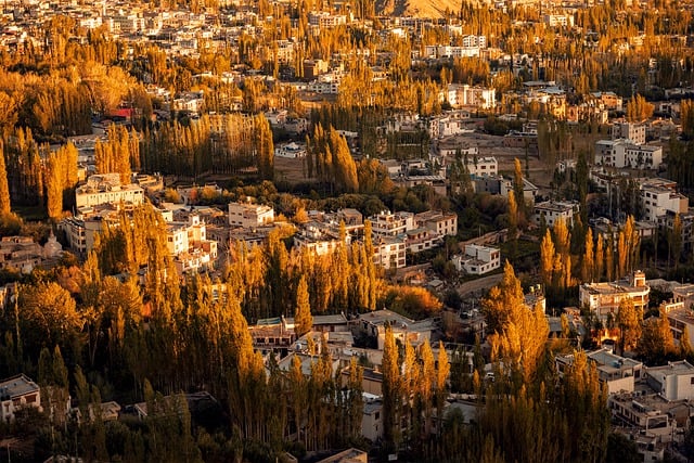 image from Bus Tours Le Carbet