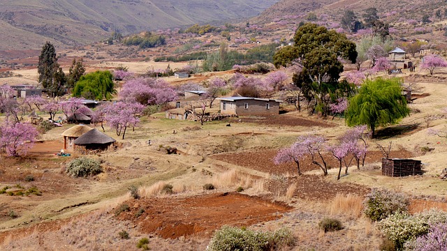 image from Lesotho 2 Day Itinerary