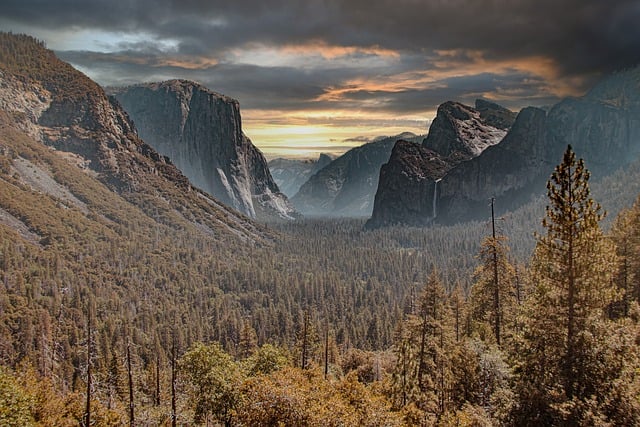 image from Los Alerces National Park