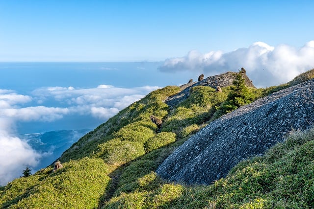 image from Adventure Tours Mérida