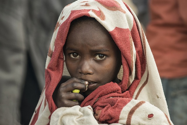 image from Multi-day Trips Madagascar