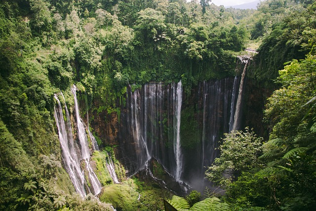 image from Day Trips Malang