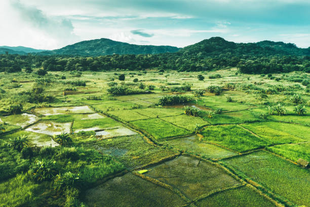 image from Malawi 5 Day Itinerary