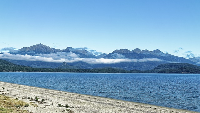 image from Animal activities Manapouri