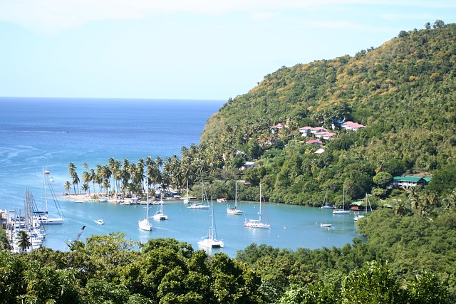 image from Family Friendly Activities Marigot