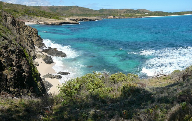 image from Group Activities Martinique