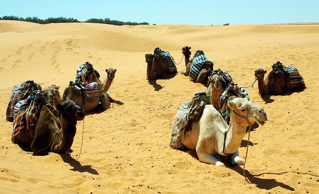 image from Matmata and Tataouine Tunisia