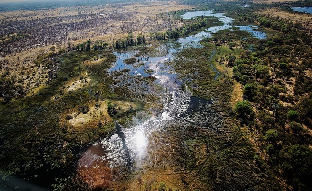 image from Group Activities Maun