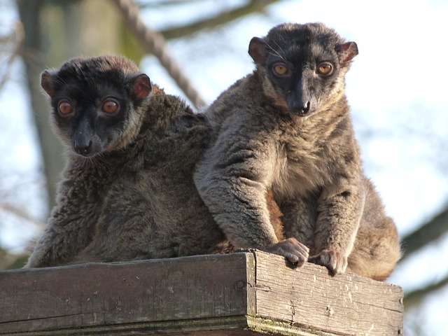 image from Mayotte 3 Day Itinerary