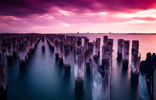 image from Melbourne Boat Tours