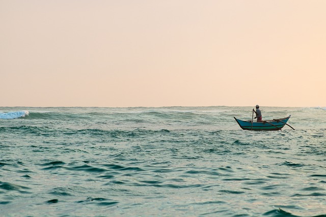 image from Bus Tours Mirissa