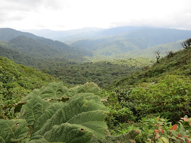 image from Adventure Tours Monteverde