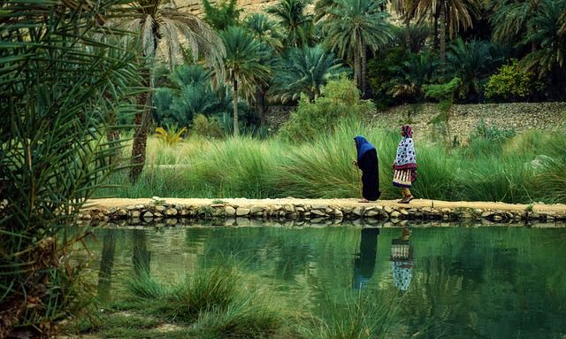 image from Oman 5 Day Itinerary