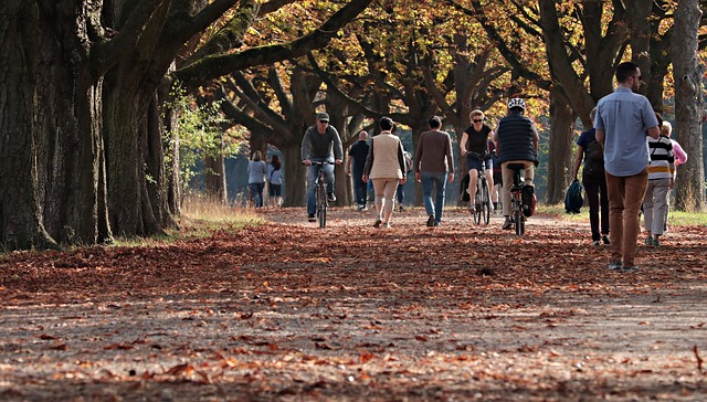 image from Muskauer Park Park Mu Akowski