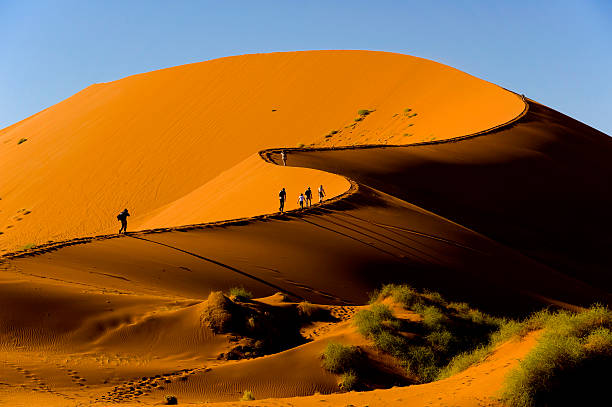 image from Namibia 3 Day Itinerary