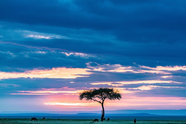 image from Multi Day Trips Narok County