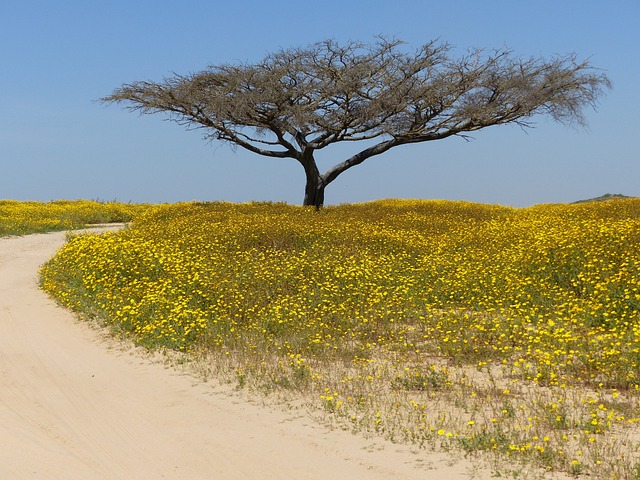 image from Romantic Getaways Negev Desert