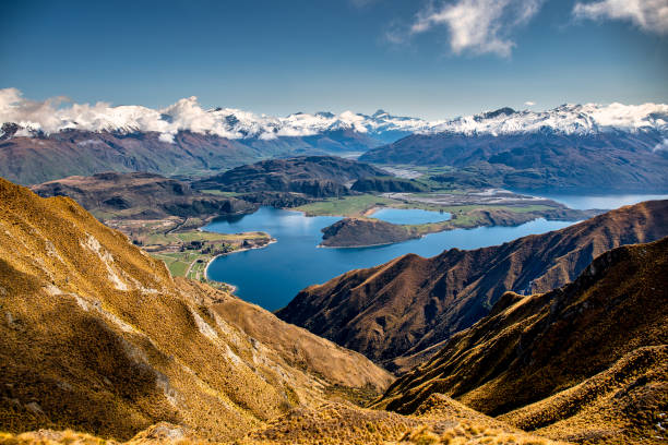 image from New Zealand