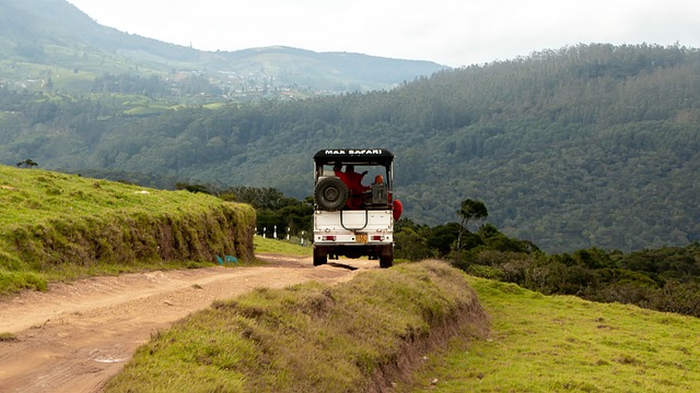 image from Couple Activities Nuwara Eliya