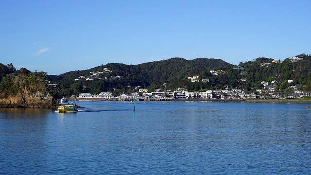 image from Paihia Boat Tours