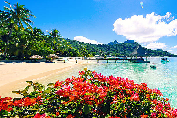 image from Papeete, Bora Bora-3-day-itinerary