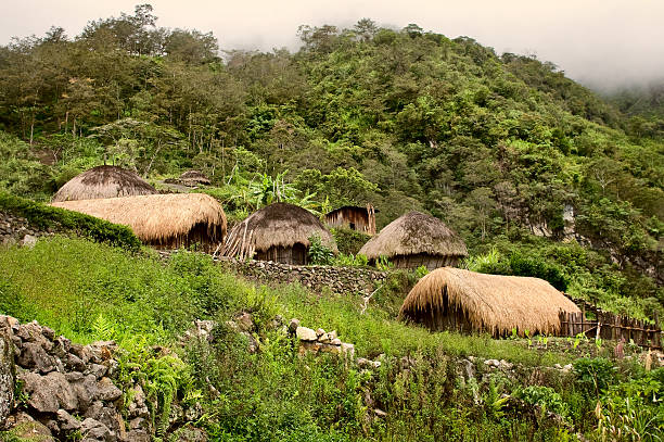 image from Papua, New Guinea-3-day-itinerary