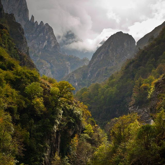 image from Picos De Europa