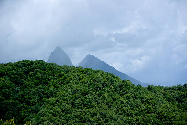 image from Pitons Management Area