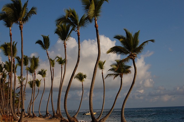 image from Punta Cana, Domincan Republic-nature-spots