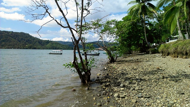 image from Group Activities Puntarenas