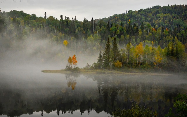 image from Bus Tours Quebec