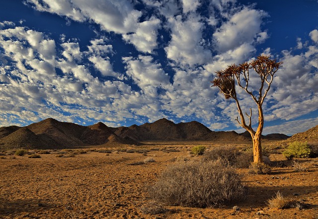 image from Richtersveld Cultural and Botanical Landscape