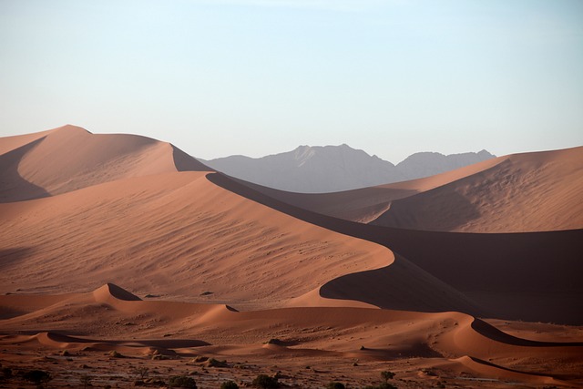 image from Sahara Desert Africa