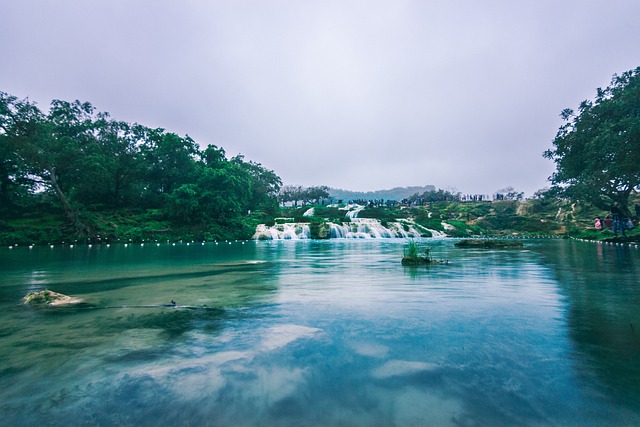 image from Day Trips Salalah