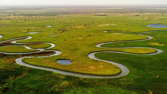 image from Saloum Delta