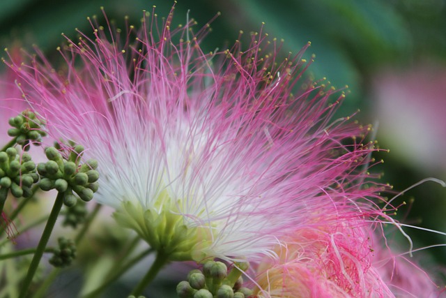 image from Walking Tours Samaná