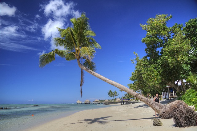 image from Samoa-4-day-itinerary