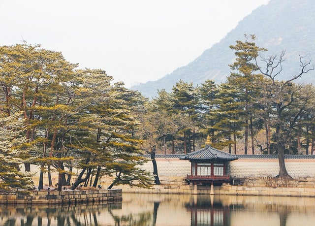 image from hidden-gems-in-Seoul, South Korea