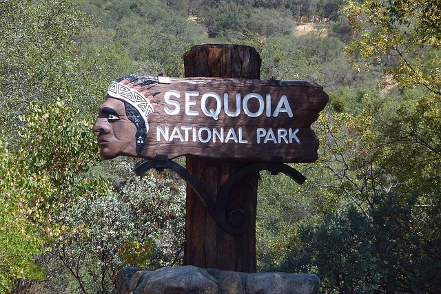 image from Sequoia National Park