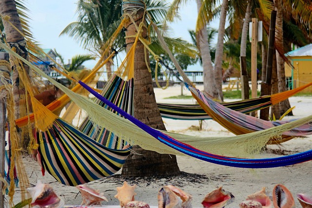 image from Share a Beer at the Lazy Lizard at the Split a Laid Back Beach Bar in Caye Caulker Belize