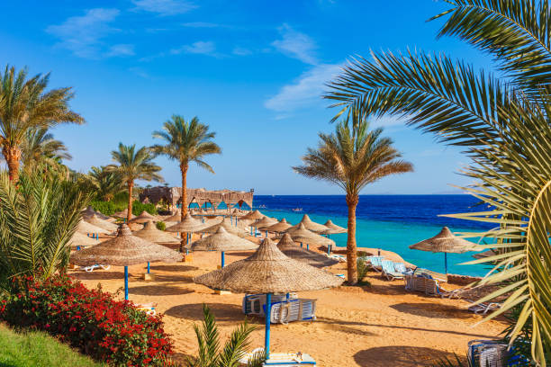 image from Festivals and Events in Sharm El Sheikh Egypt