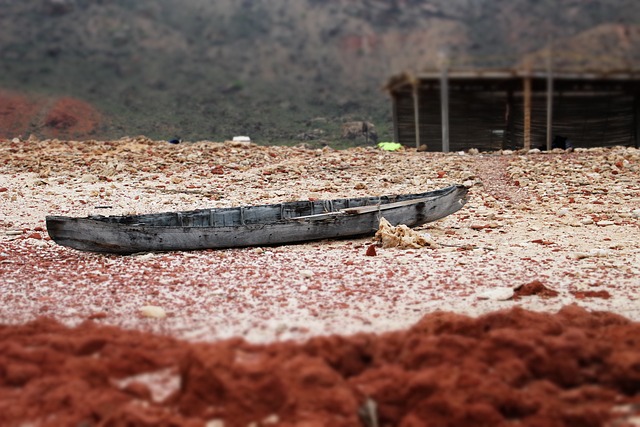 image from Socotra Archipelago